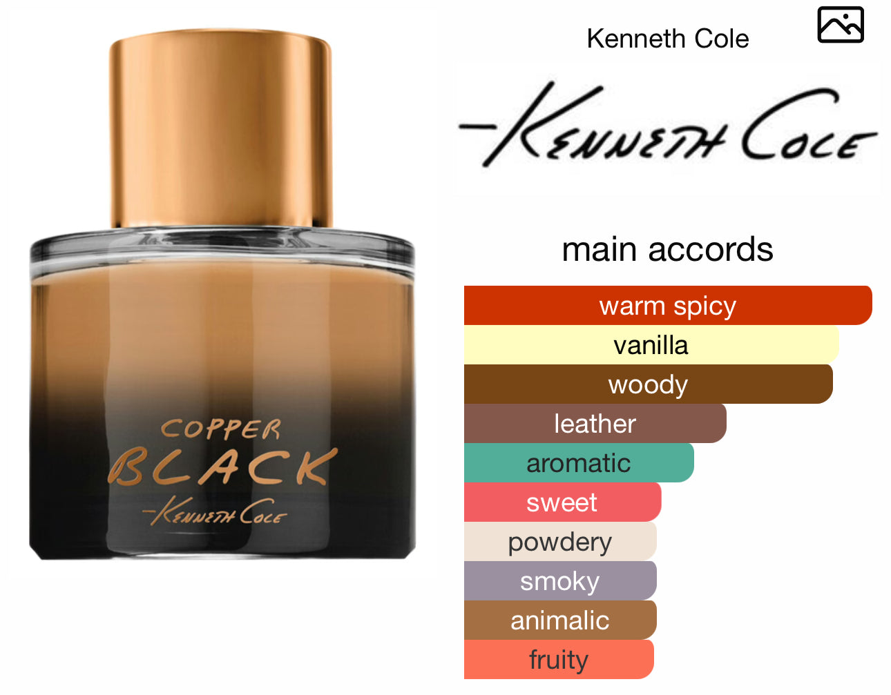 Kenneth Cole Copper