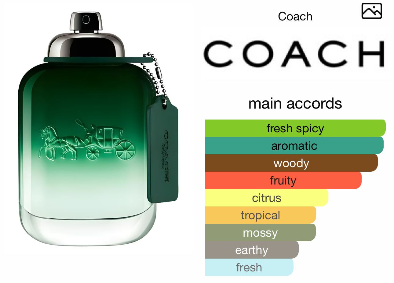 Coach Green 100ml